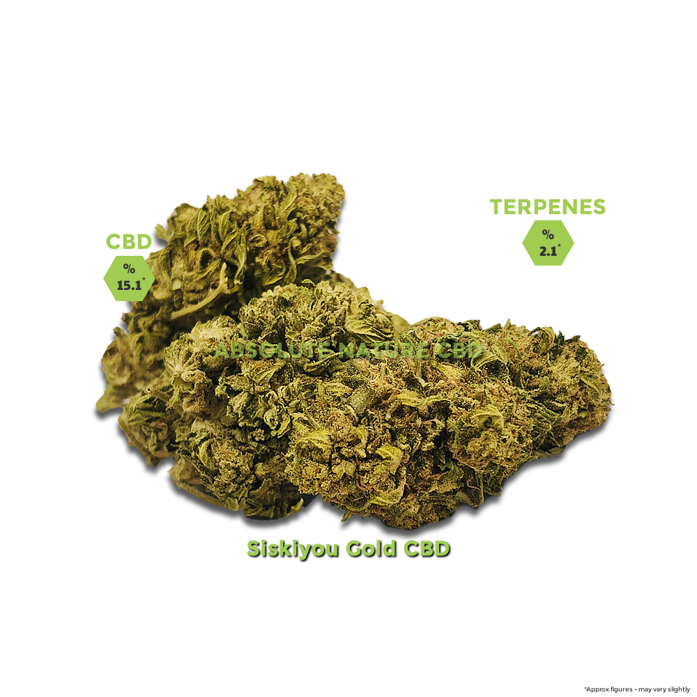 Siskiyou-Gold-CBD-hemp-Flower-buds